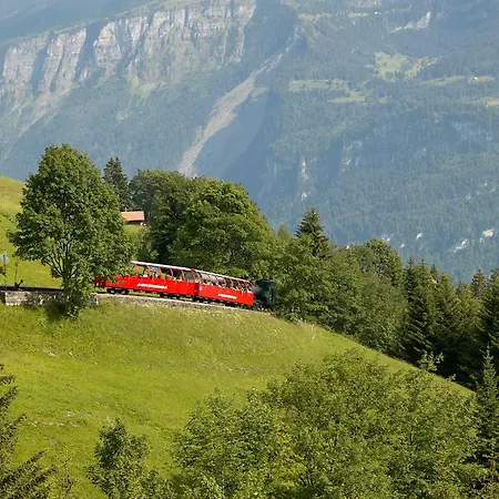 Beaulac Penthouse - Direct View * Brienz (Bern)