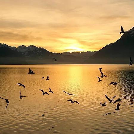 Apartman Beaulac Penthouse - Direct View Brienz