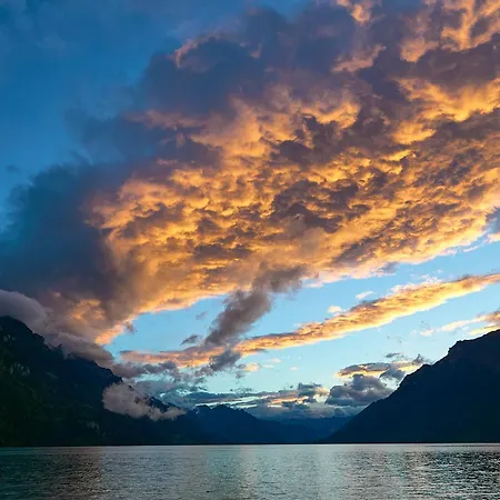 Beaulac Penthouse - Direct View Brienz