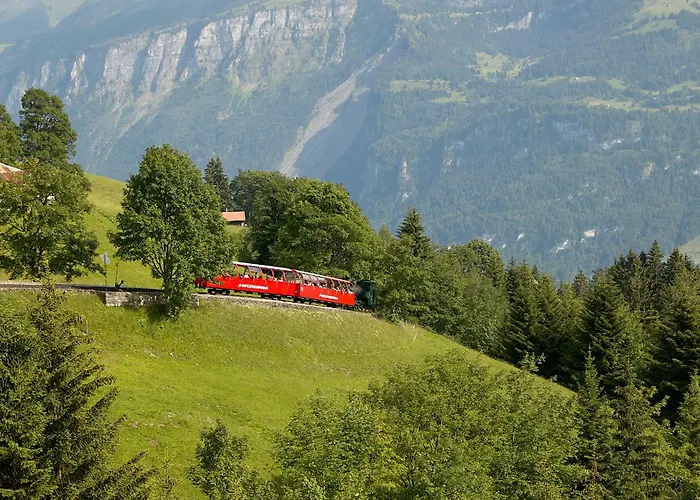 Beaulac Penthouse - Direct View * Brienz (Bern)
