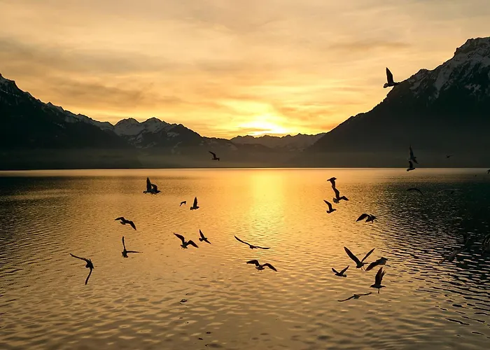 Appartamento Beaulac Penthouse - Direct View Brienz (Bern)